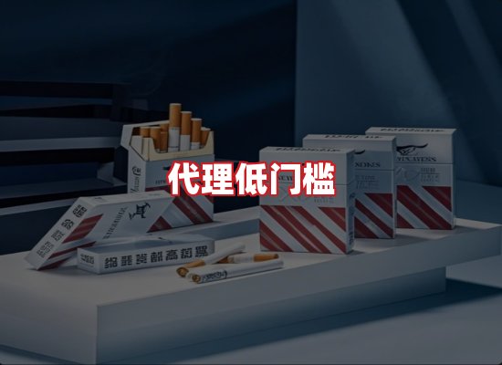 专业团队